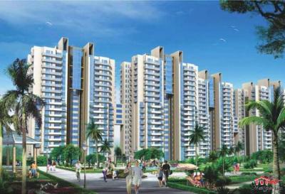 Apartment For sale in Gurgaon, Haryana, India - C-114, Ist Floor Palam Vyapar Kender, Palam Vihar